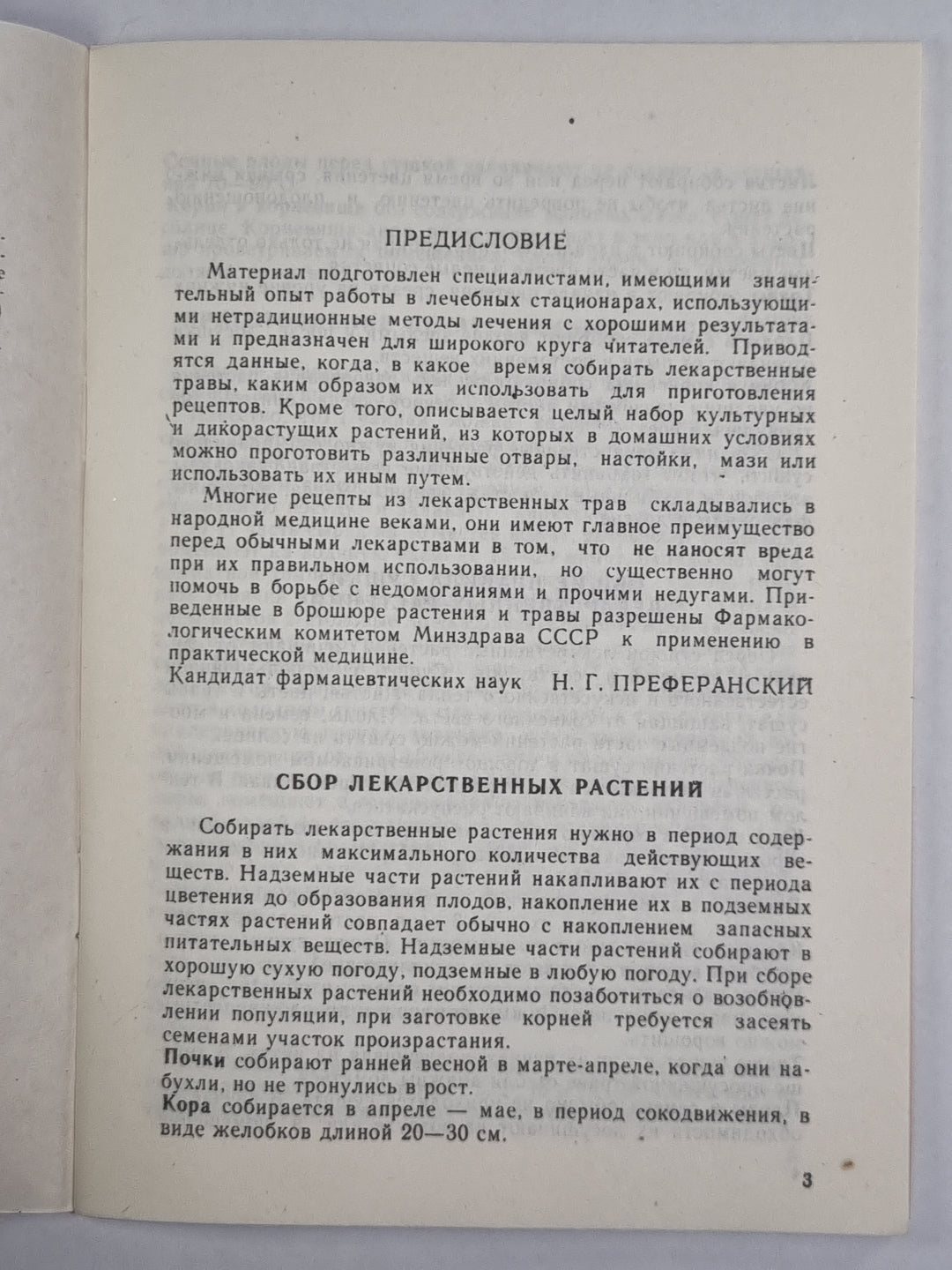 Дикорастущие и культурные растения в народной медецине