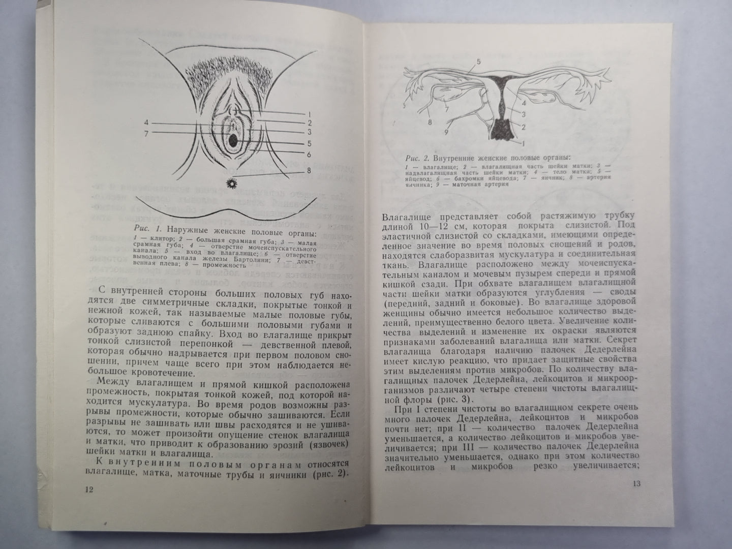 Женщинам о раке