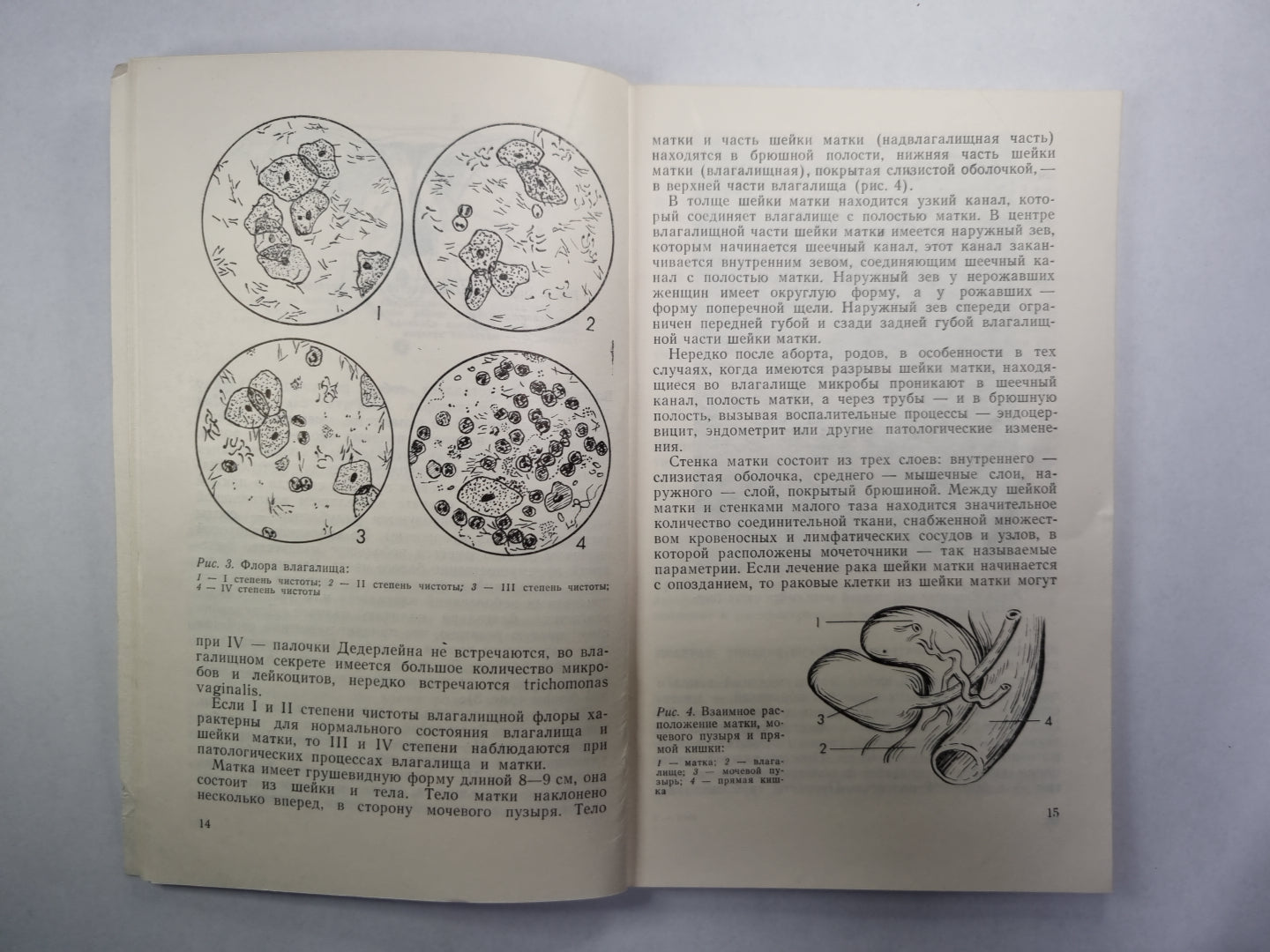 Женщинам о раке