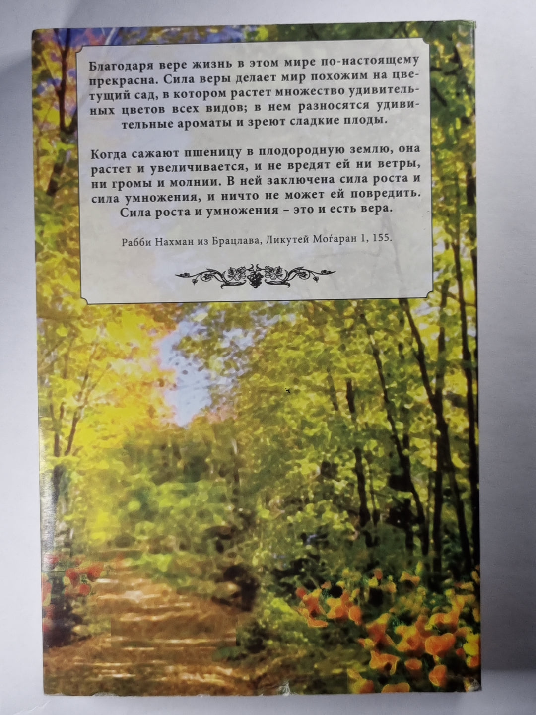 Сад веры. Практическое руководство к жизни