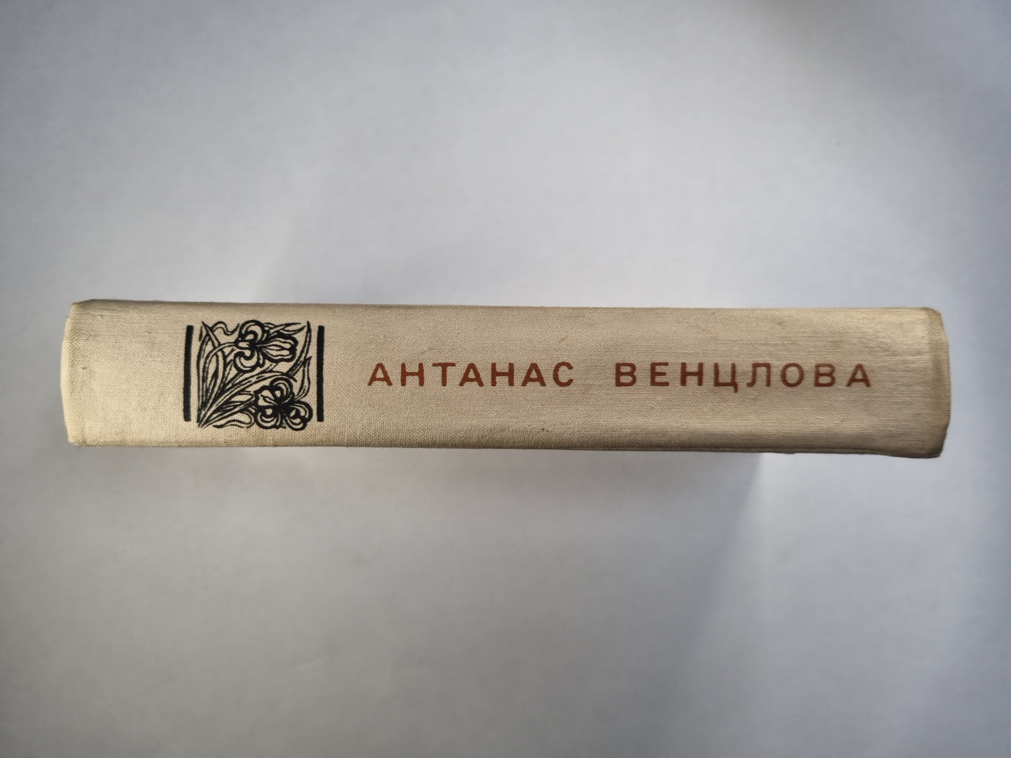 Весенняя река. В поисках молодости