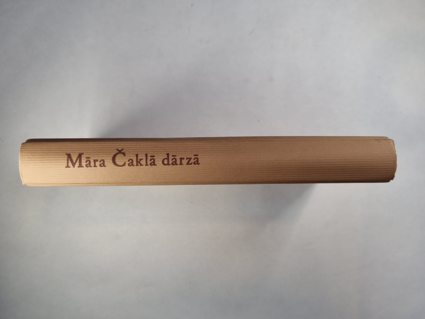 Māra Čaklā dārzā. Apceres, šarži, veltījumi