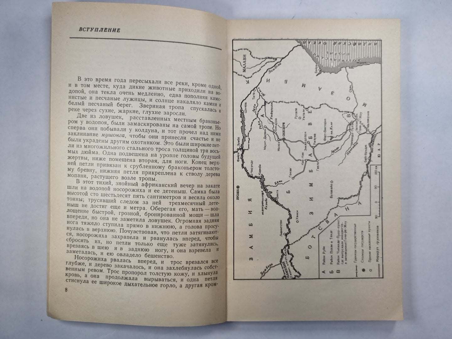 Операция ''Носорог''