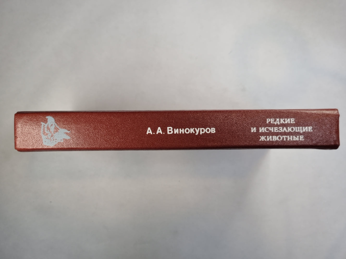 Редкие и исчезающие животные. Птицы