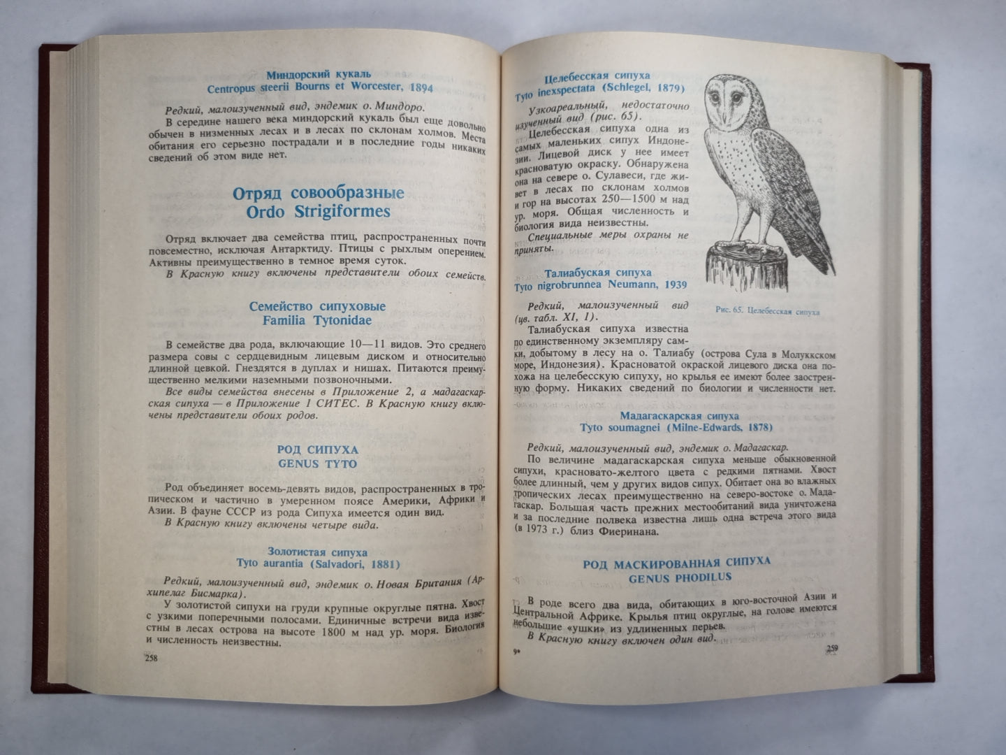 Редкие и исчезающие животные. Птицы