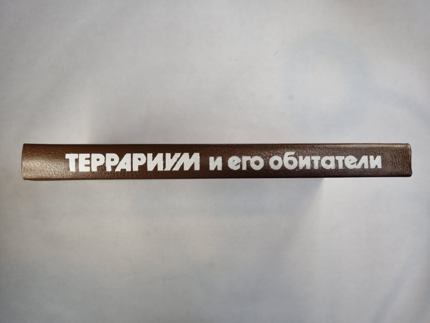 Террариум и его обитатели