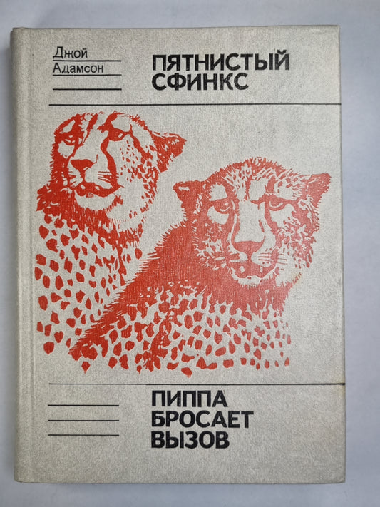 Пятнистый сфинкс. Пиппа бросает вызов