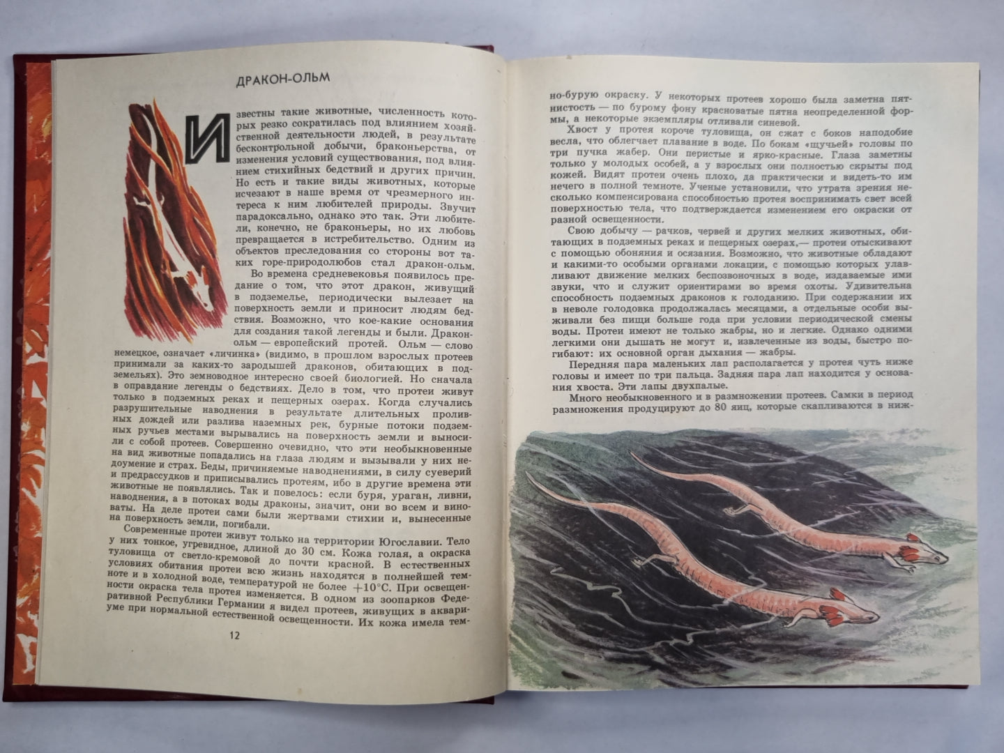 О редких животных мира