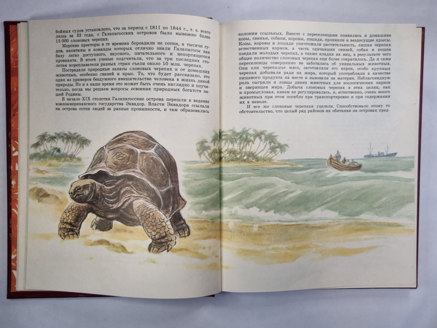 О редких животных мира