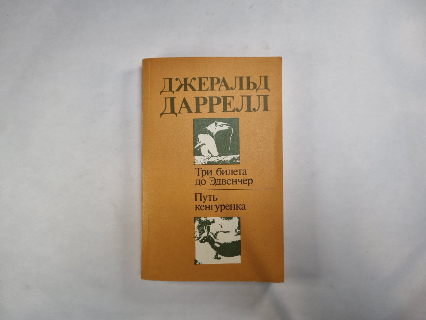 Три билета до Эдвенчер. Путь кенгуренка