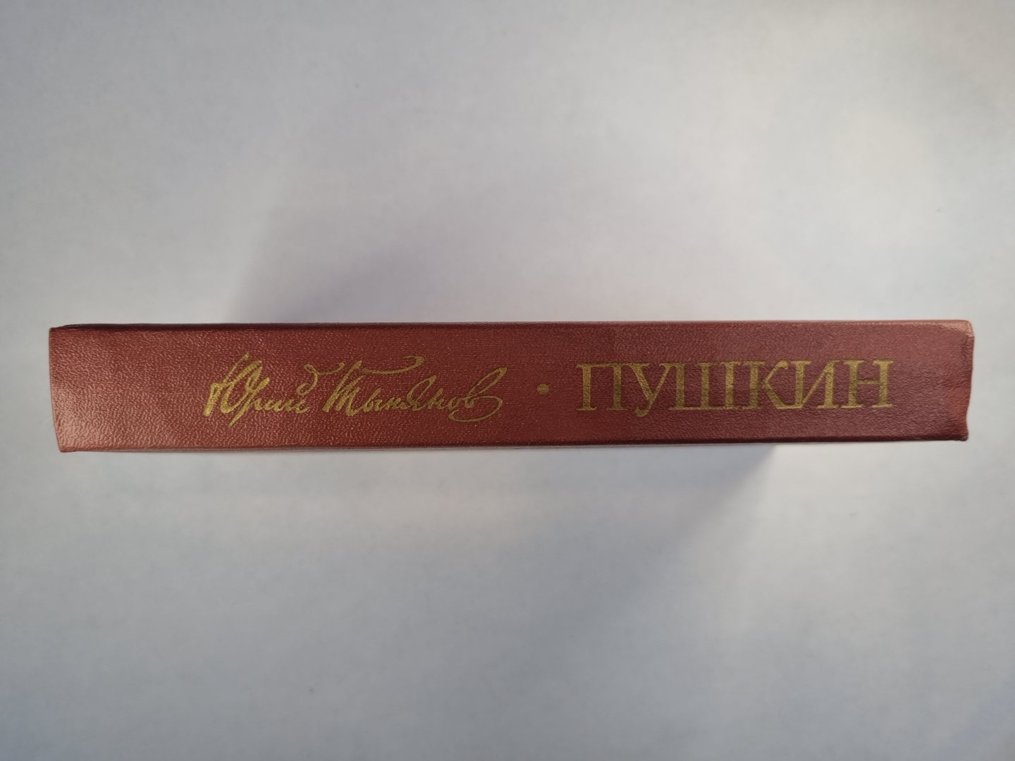 Пушкин. Роман