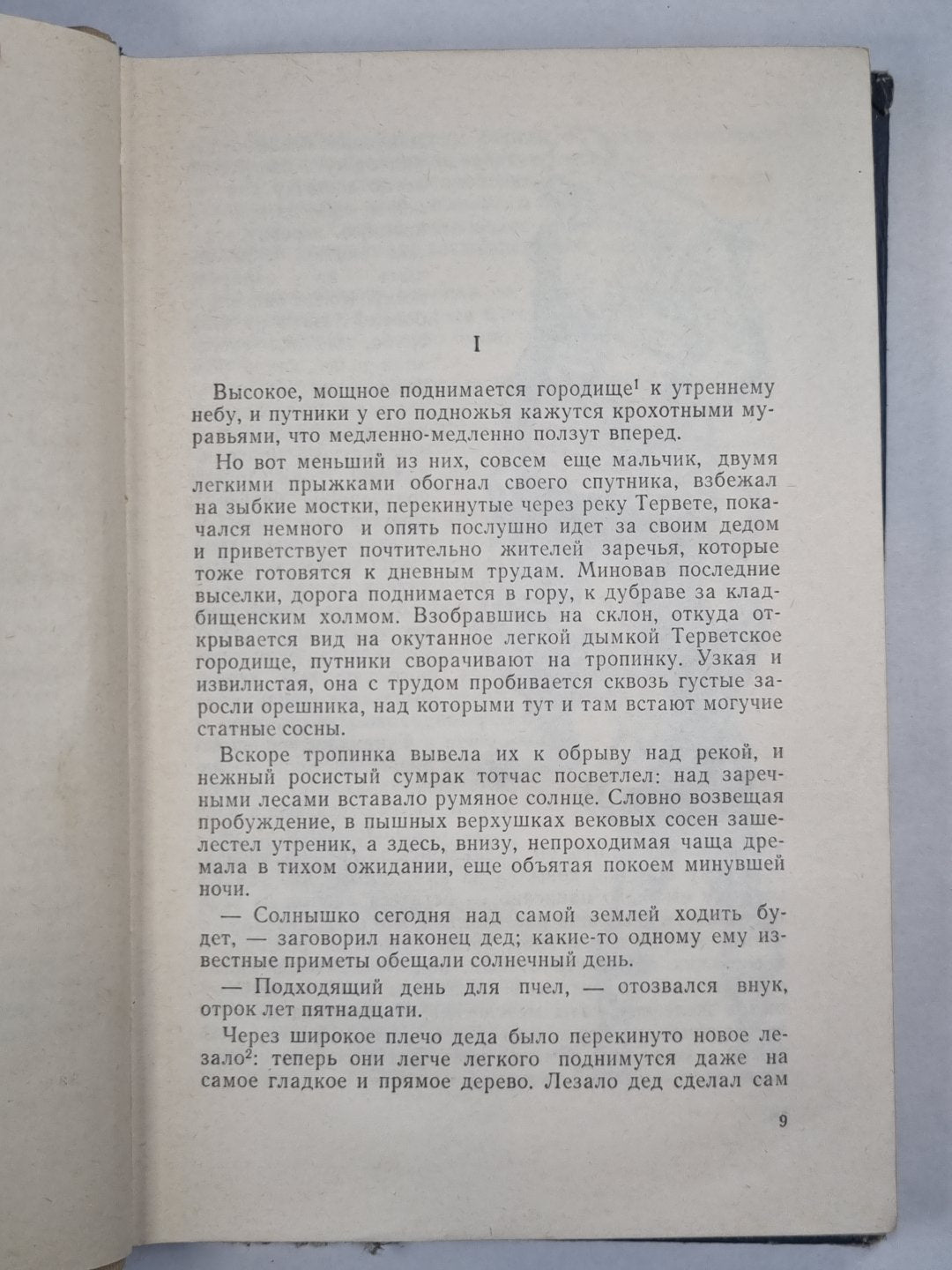 Пылающее городище