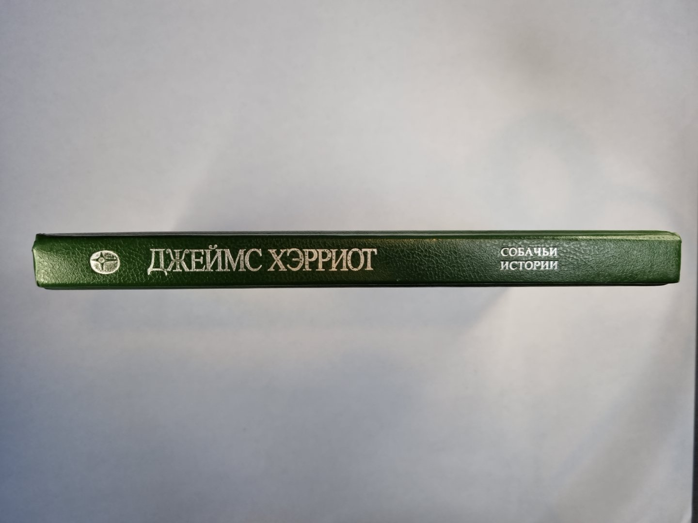 Собачьи истории