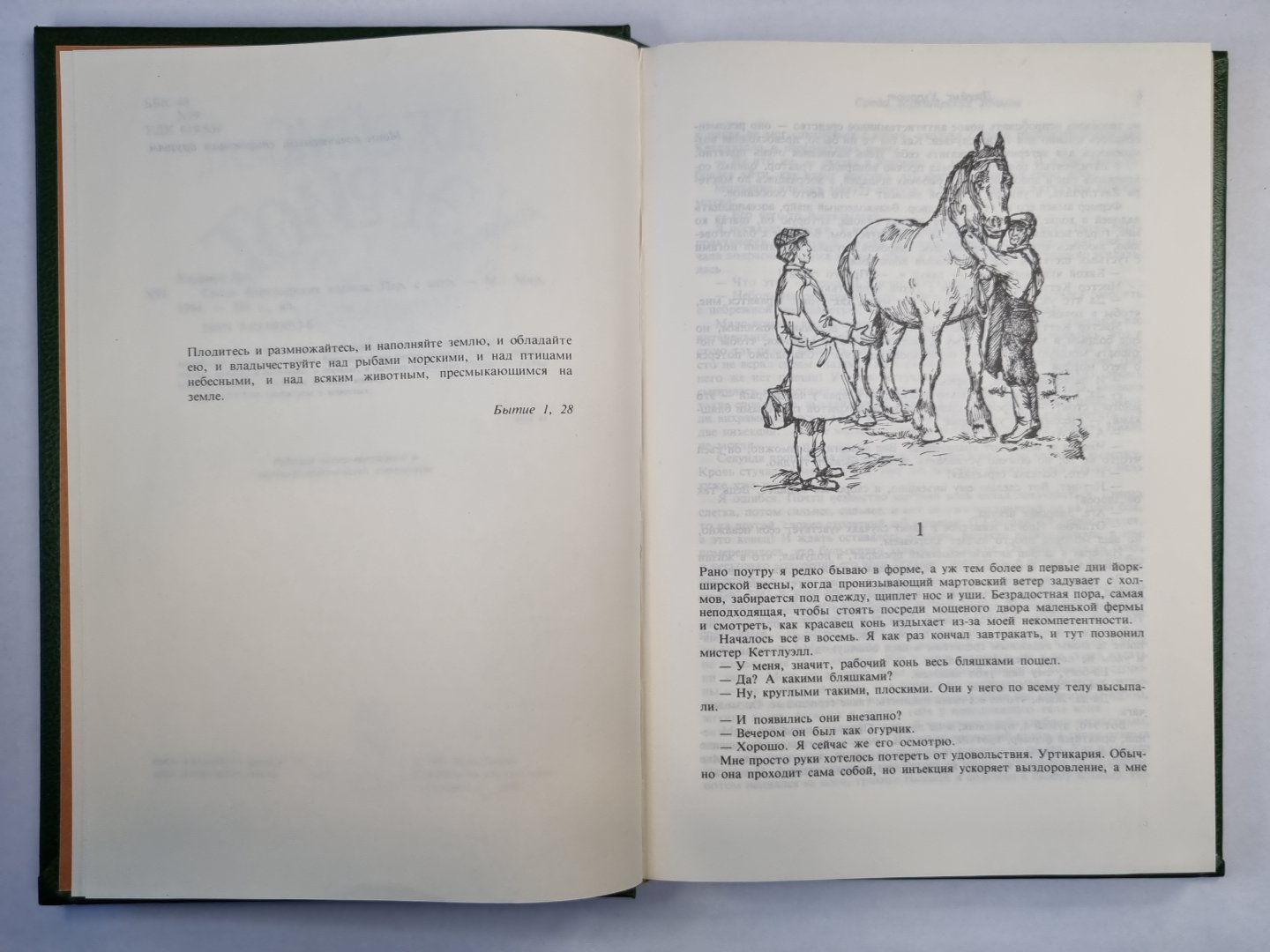 Среди Йоркширских холмов