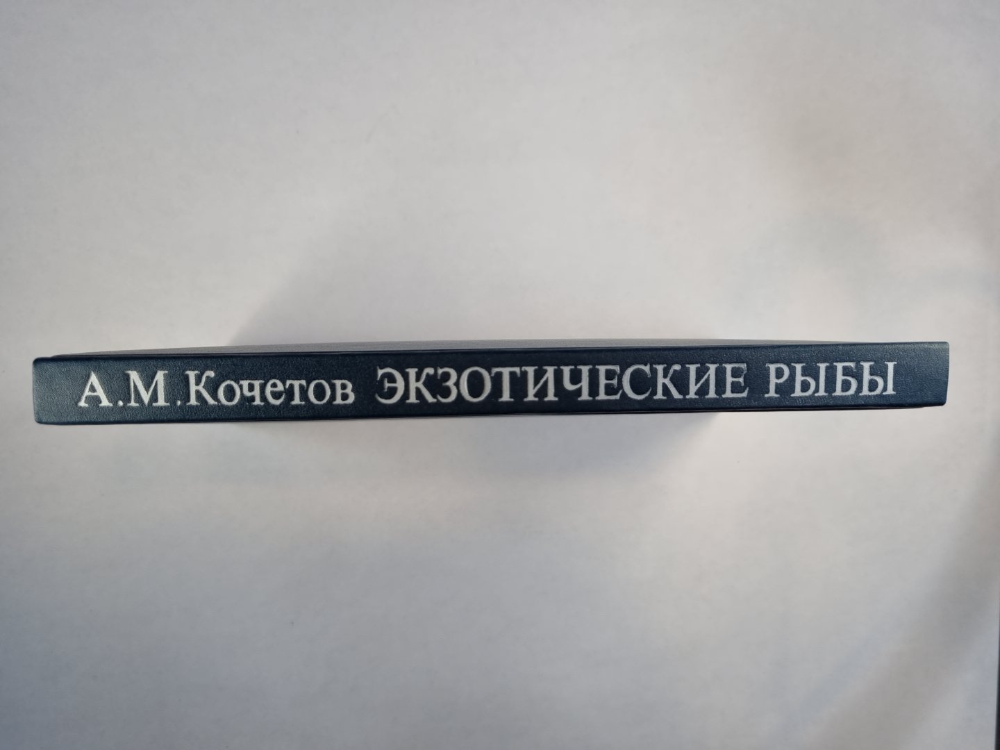 Экзотические рыбы