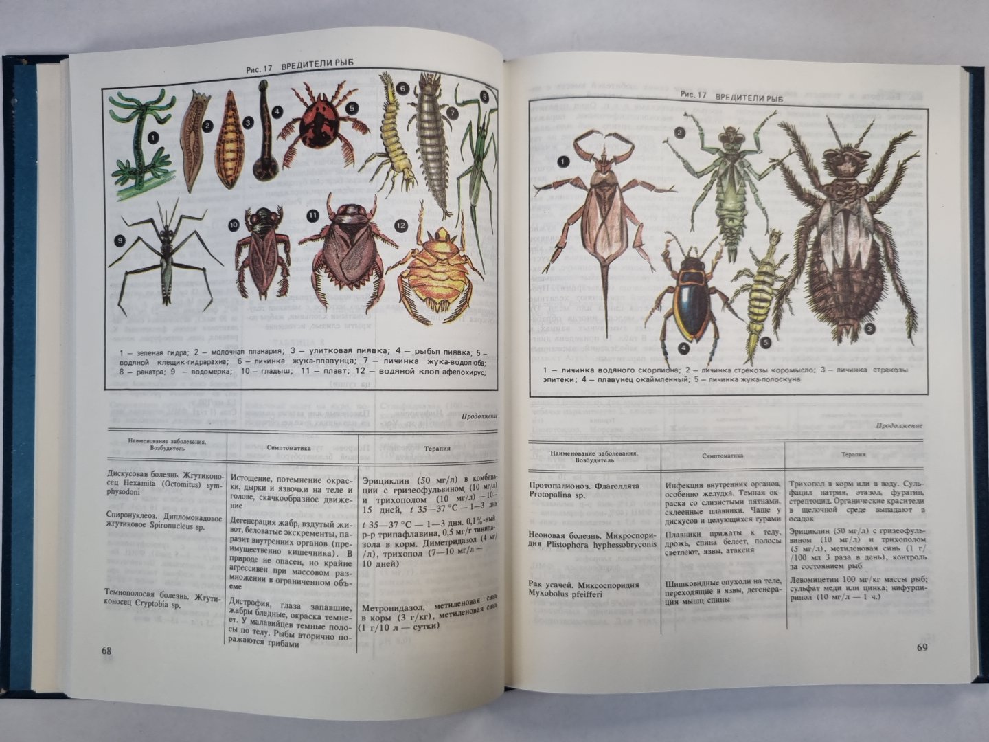 Экзотические рыбы