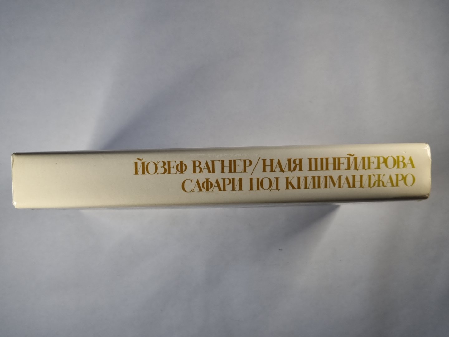 Safari au Kilimandjoro