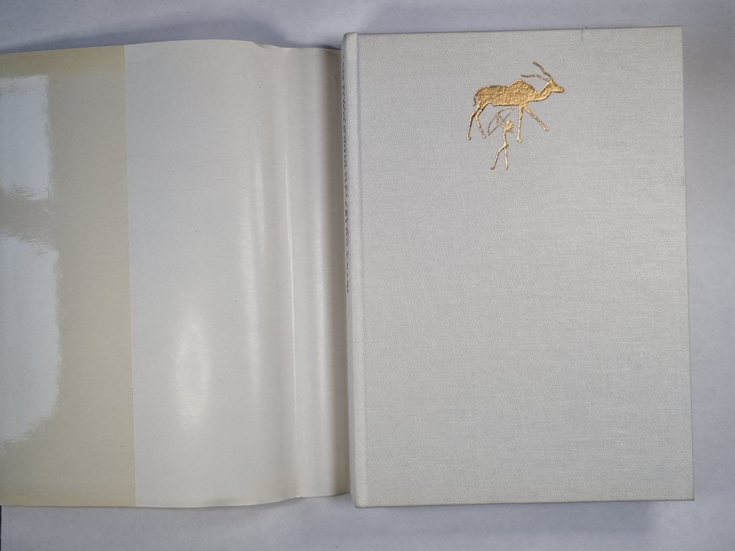 Safari au Kilimandjoro