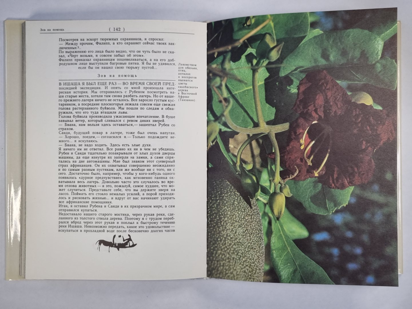 Safari au Kilimandjoro