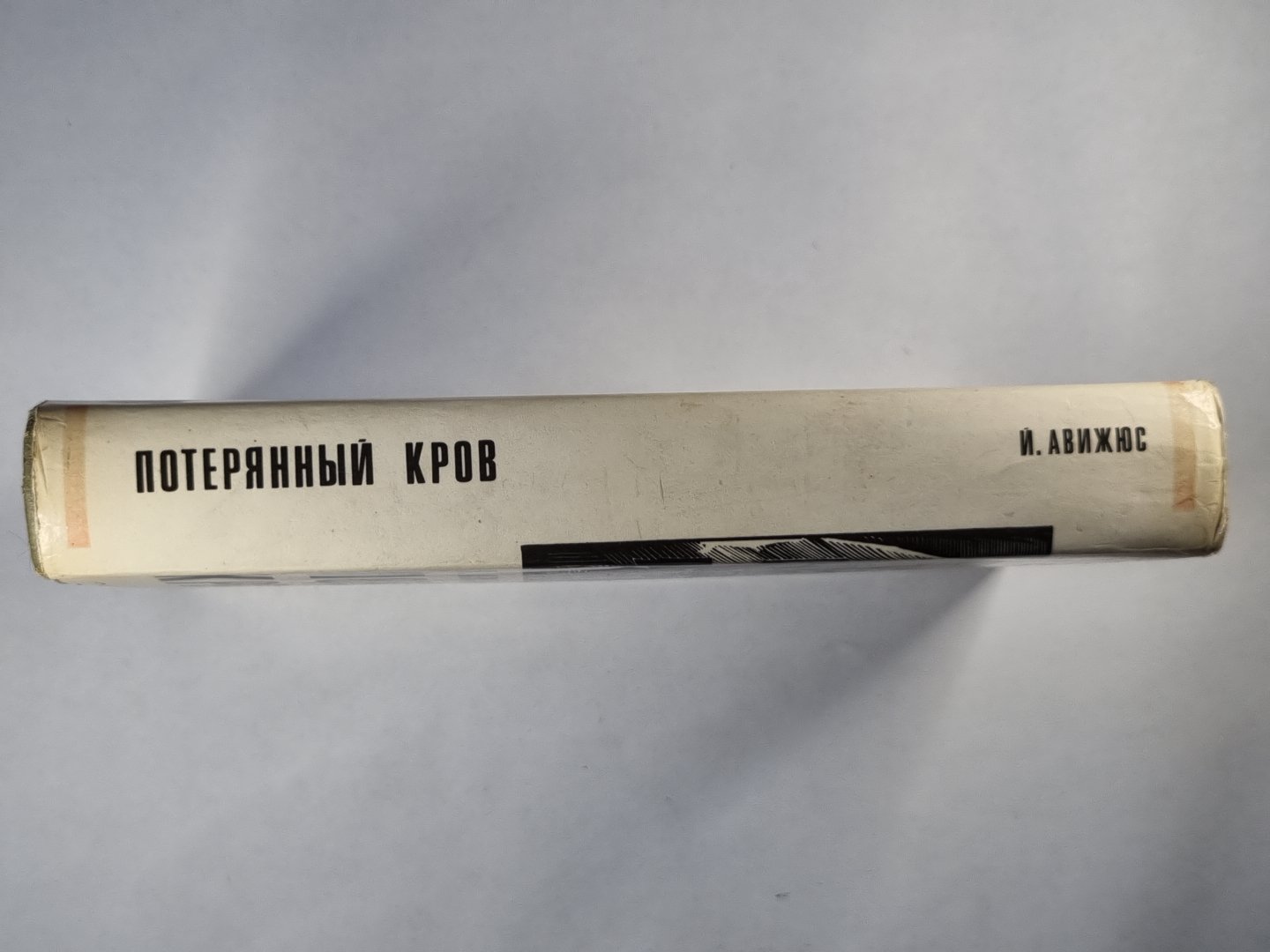 Потерянный кров