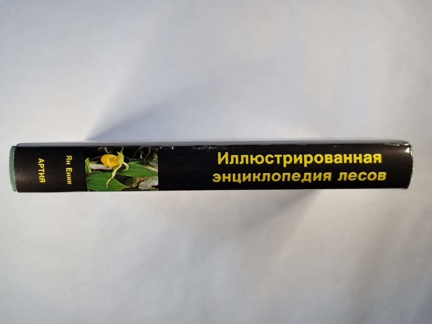 Иллюстрированная энципедколия лесов