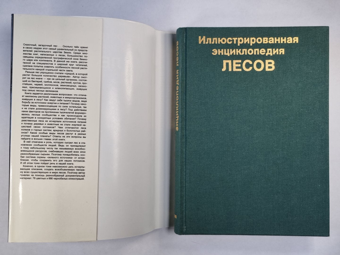 Иллюстрированная энципедколия лесов