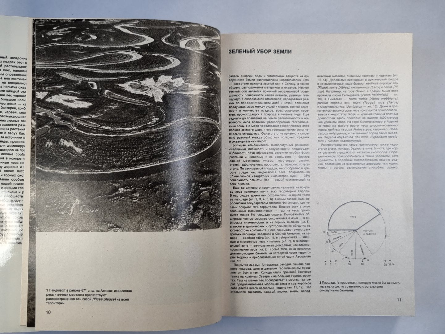 Иллюстрированная энципедколия лесов