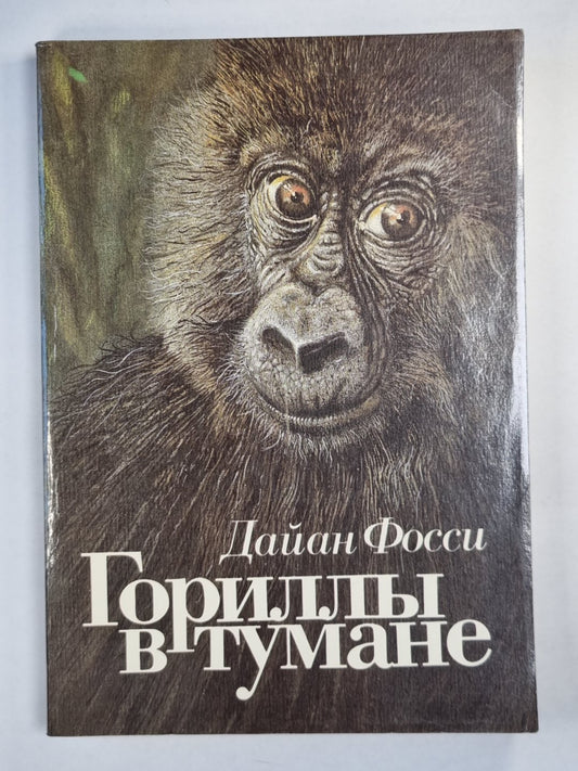 Гориллы в тумане