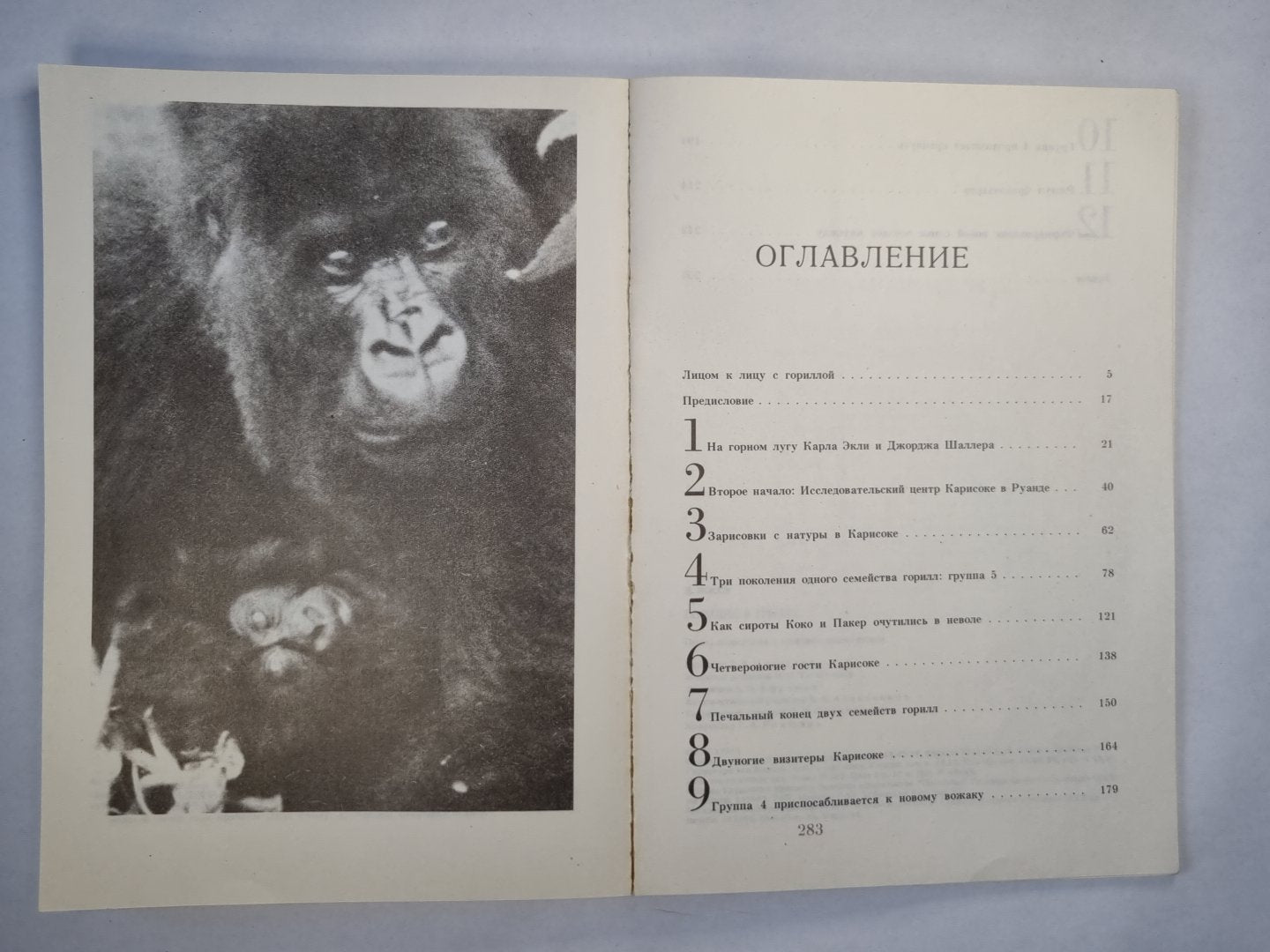 Гориллы в тумане