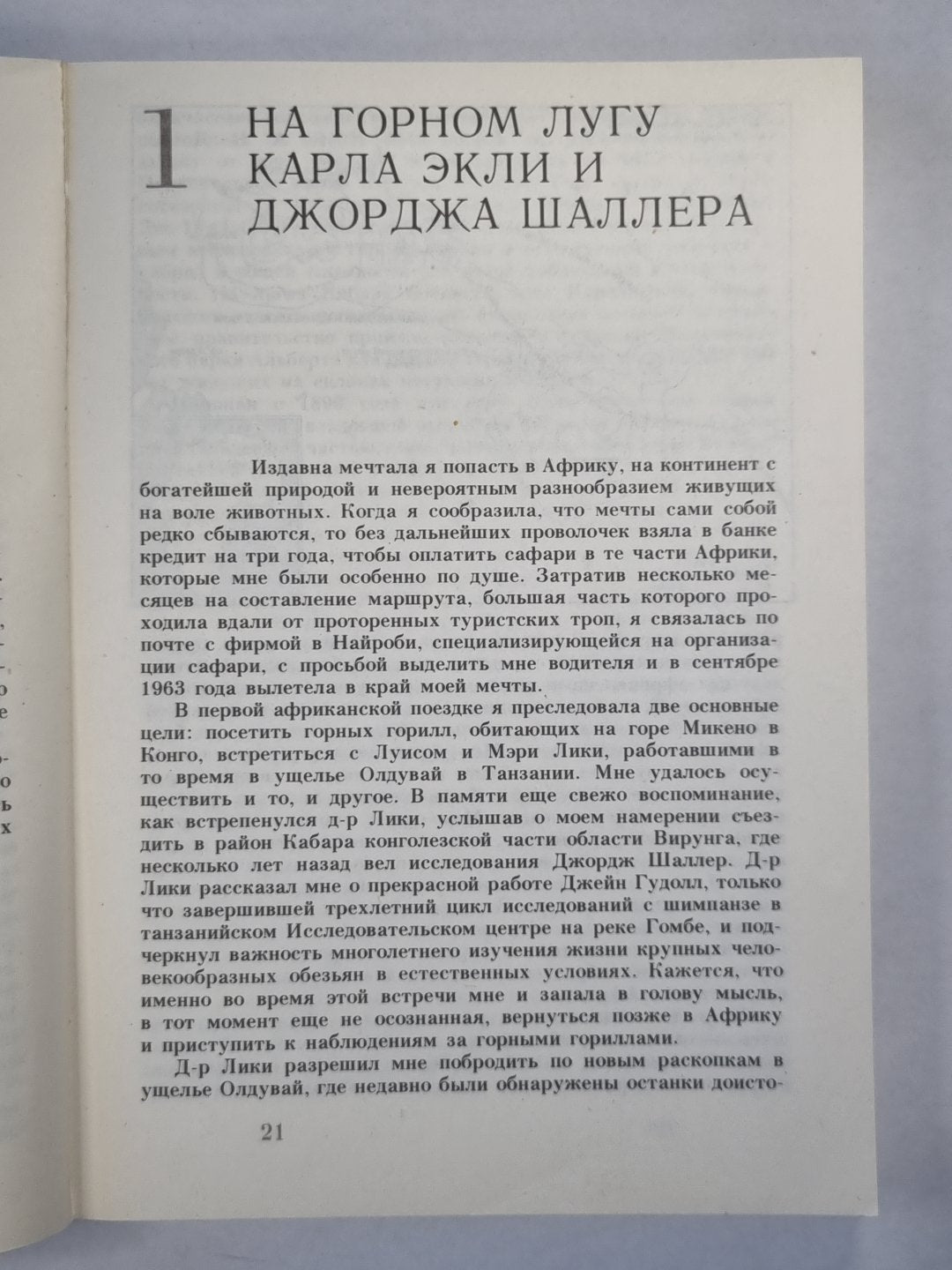 Гориллы в тумане