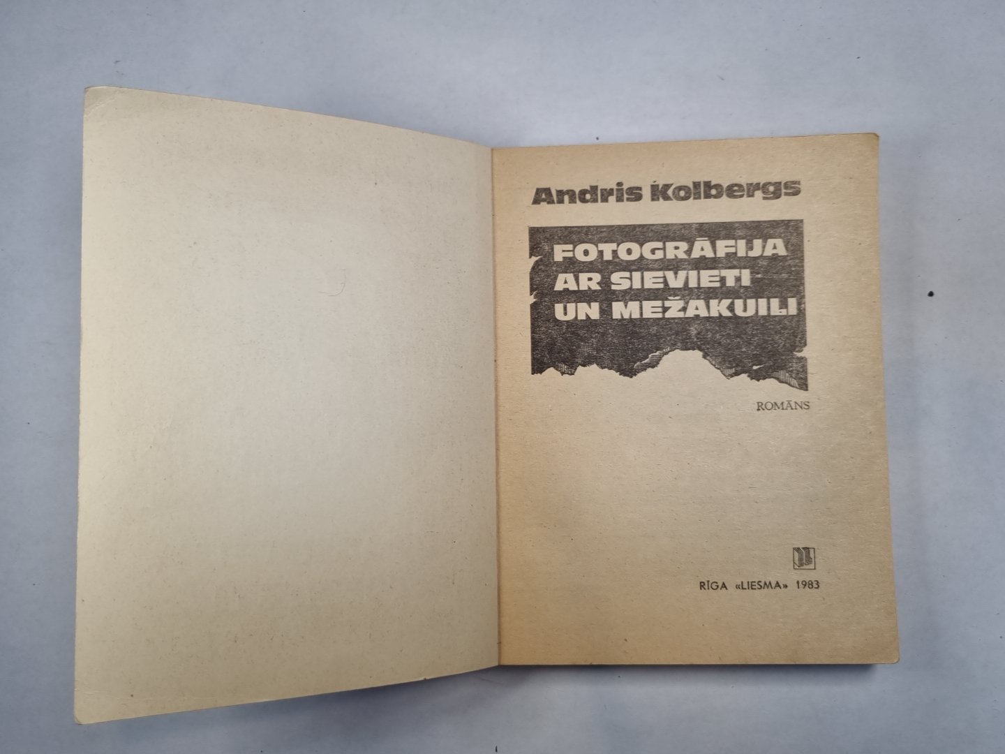 Фотографии с межкомнатными перегородками