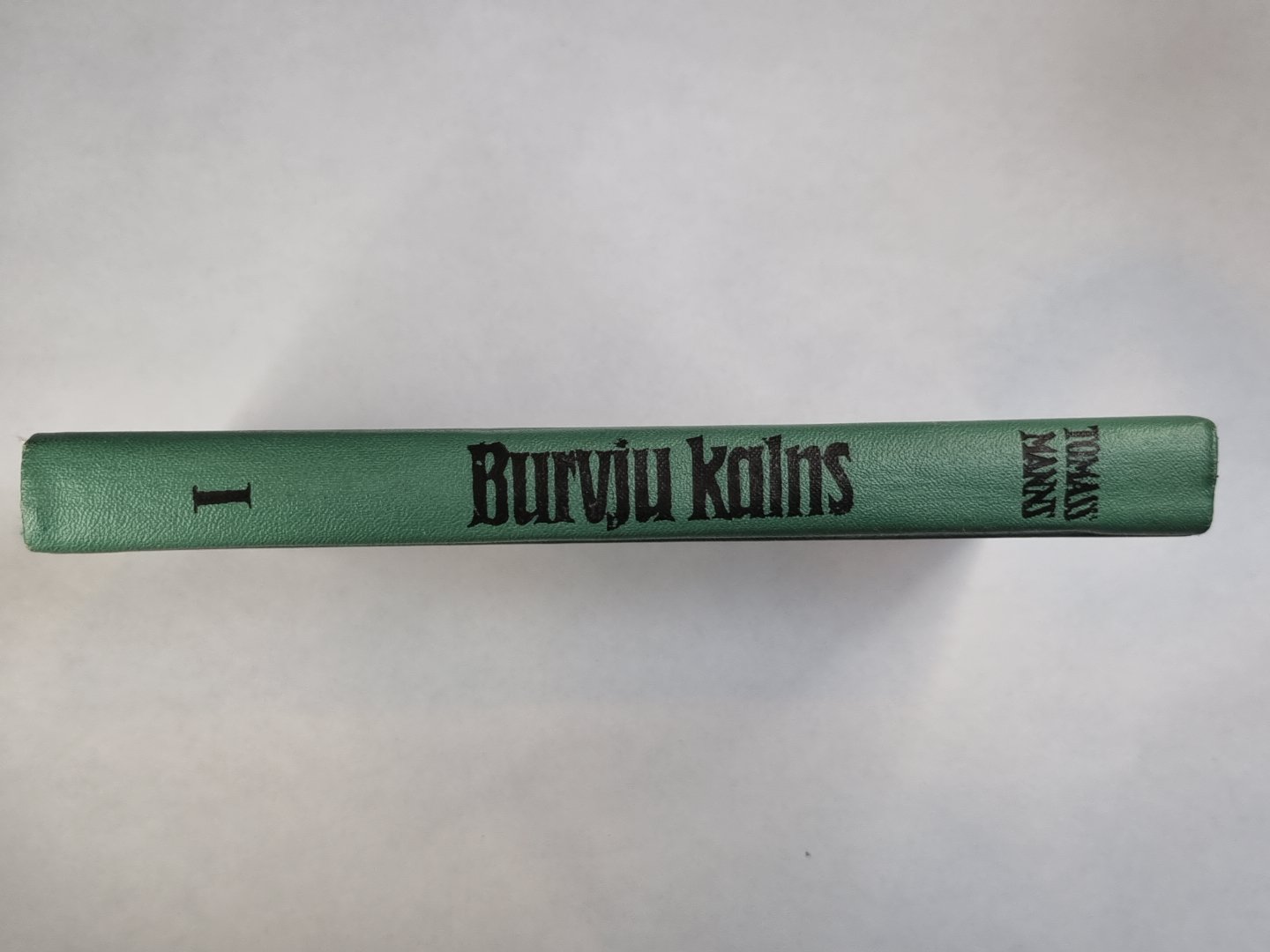 Burvju kalns. 1.grāmata