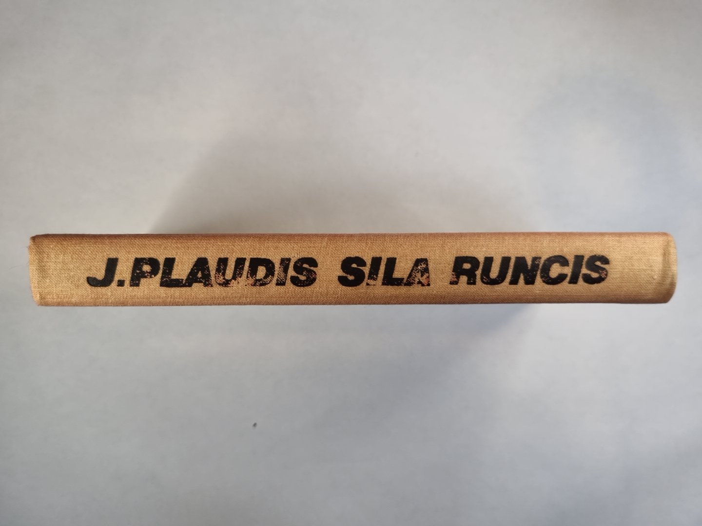 Сила рунцис