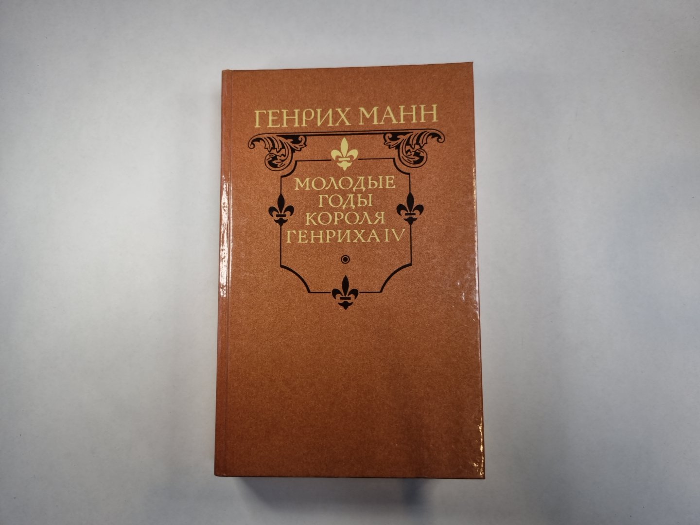 Молодые годы Генриха IV