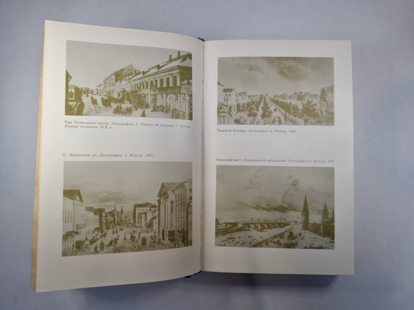 В царстве муз: Московский литературный салон Зинаиды Волконской. 1824-1829 гг.