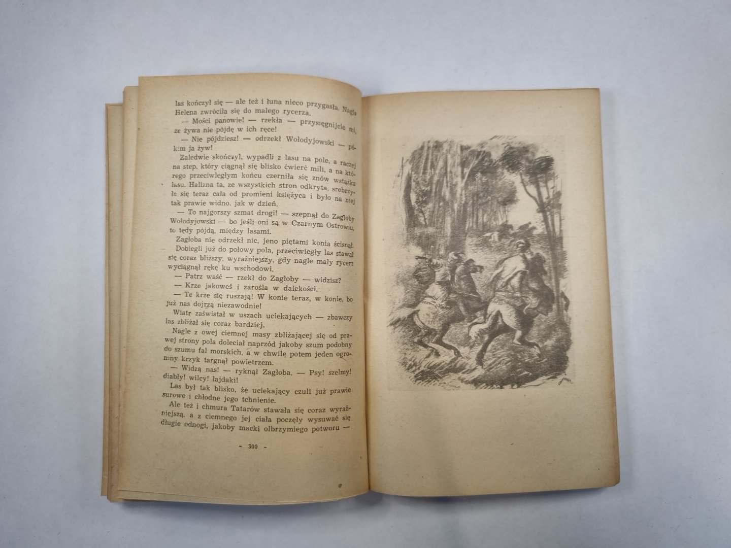 Ogniem i mieczem. Tom 2