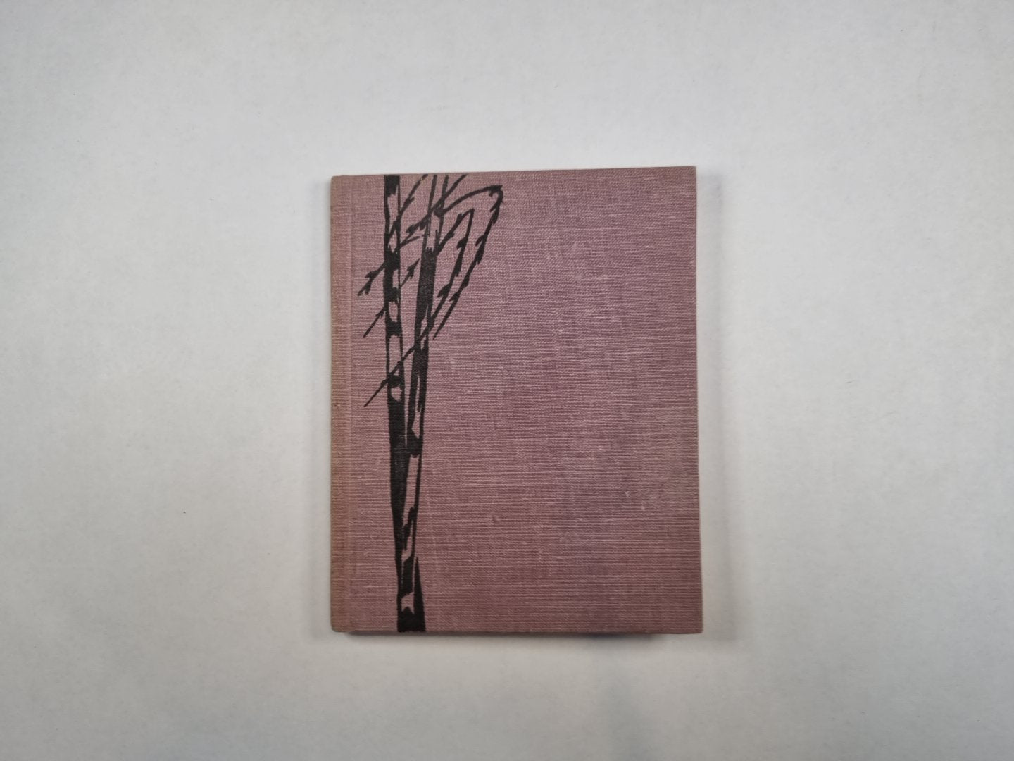 Анна Снегина