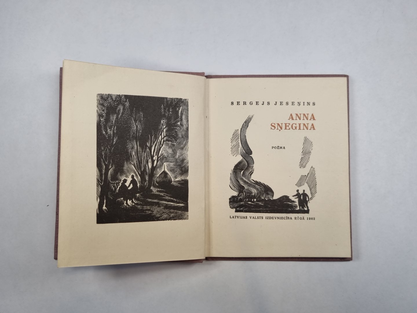 Анна Снегина