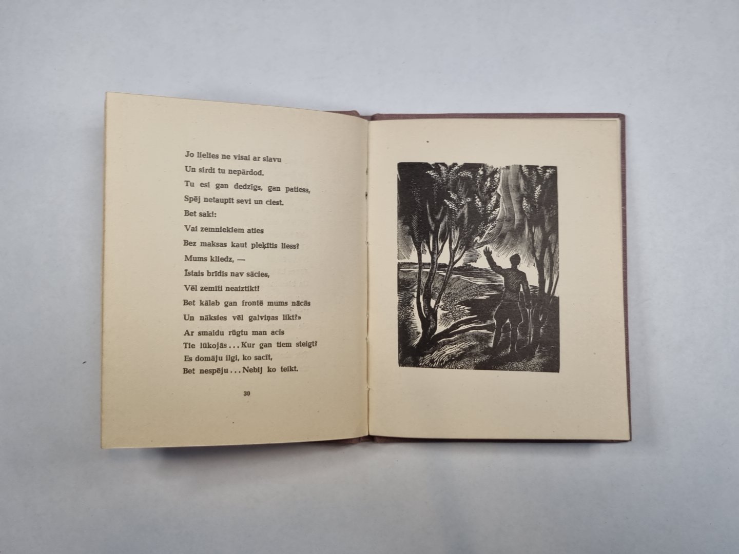 Анна Снегина