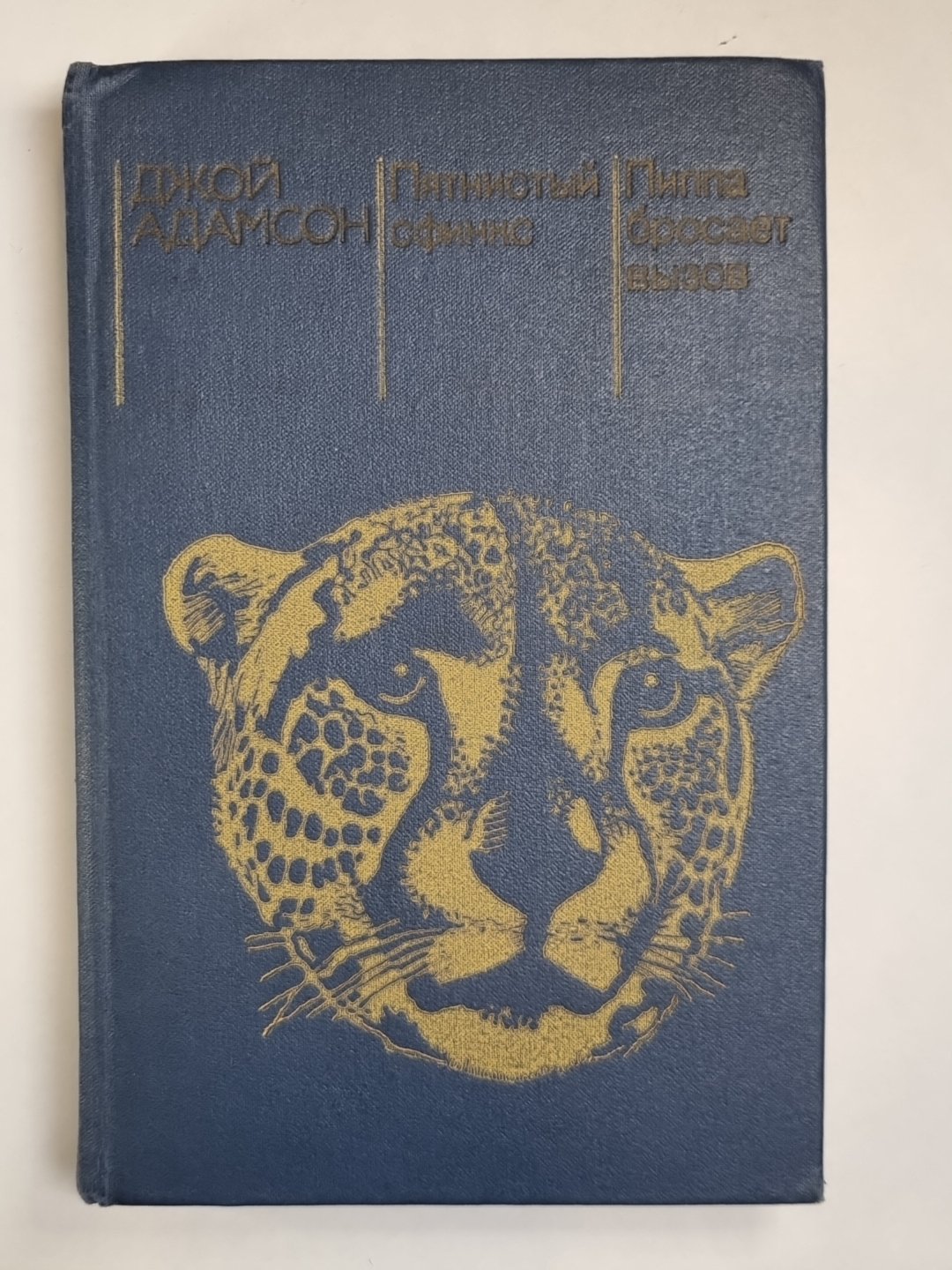 Пятнистый сфинкс. Пиппа бросает вызов