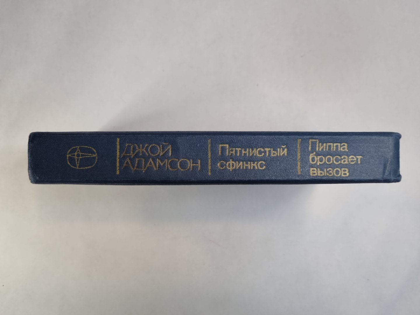 Пятнистый сфинкс. Пиппа бросает вызов