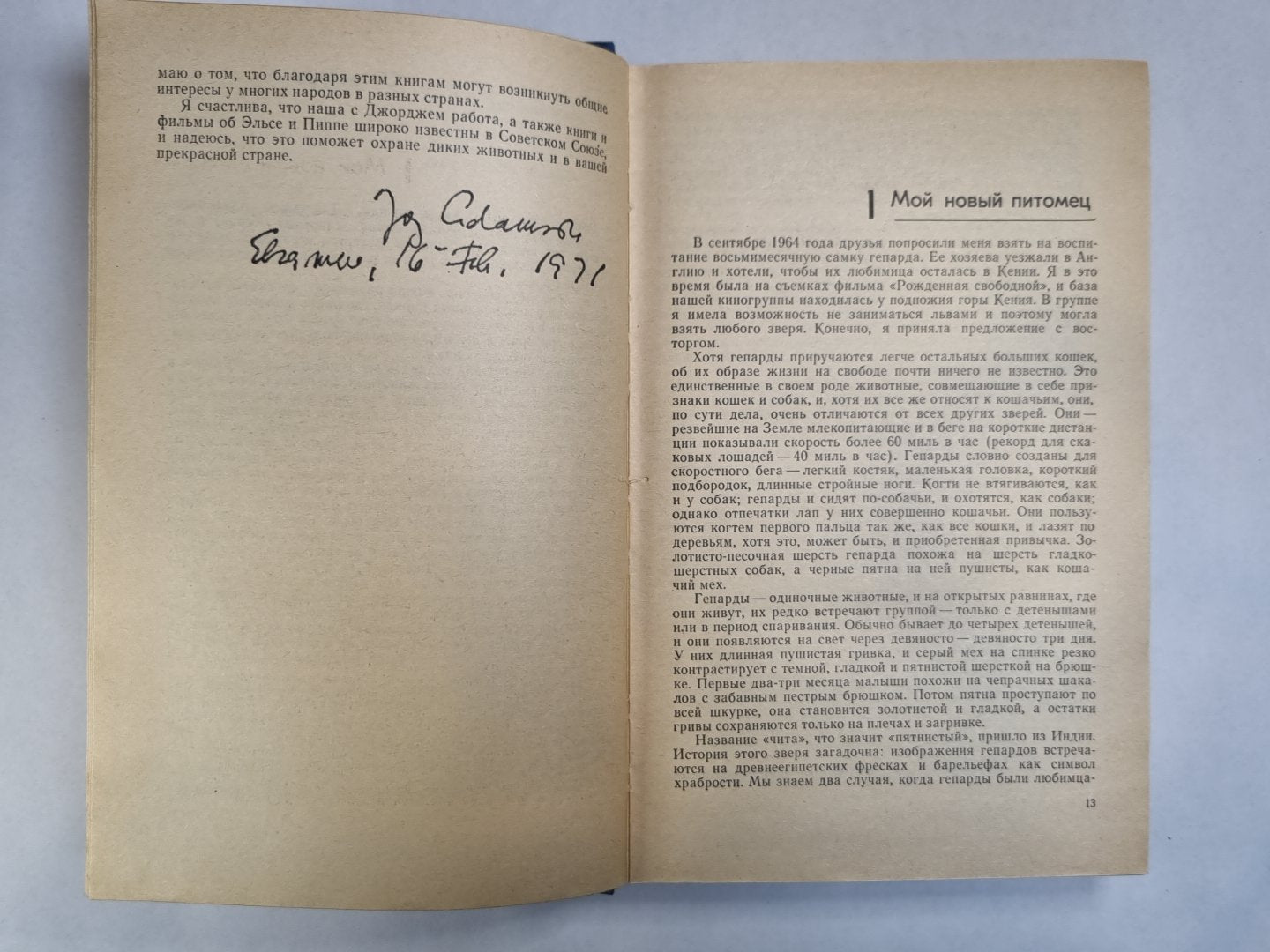 Пятнистый сфинкс. Пиппа бросает вызов