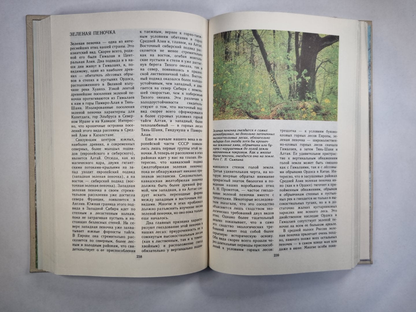 Певчие птицы. Справочное пособие