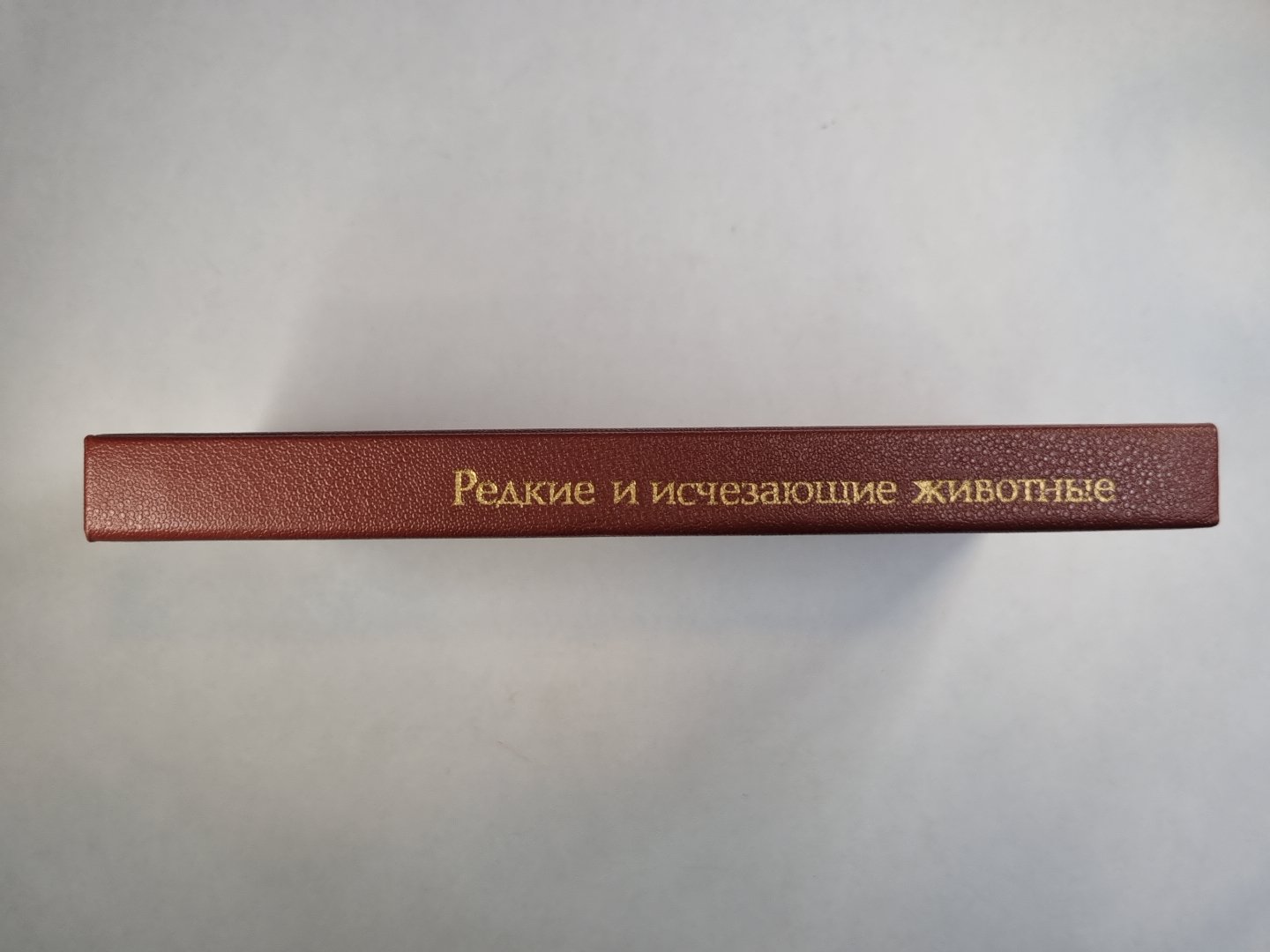 Редкие и исчезающие животные. На страницах Красной книги СССР
