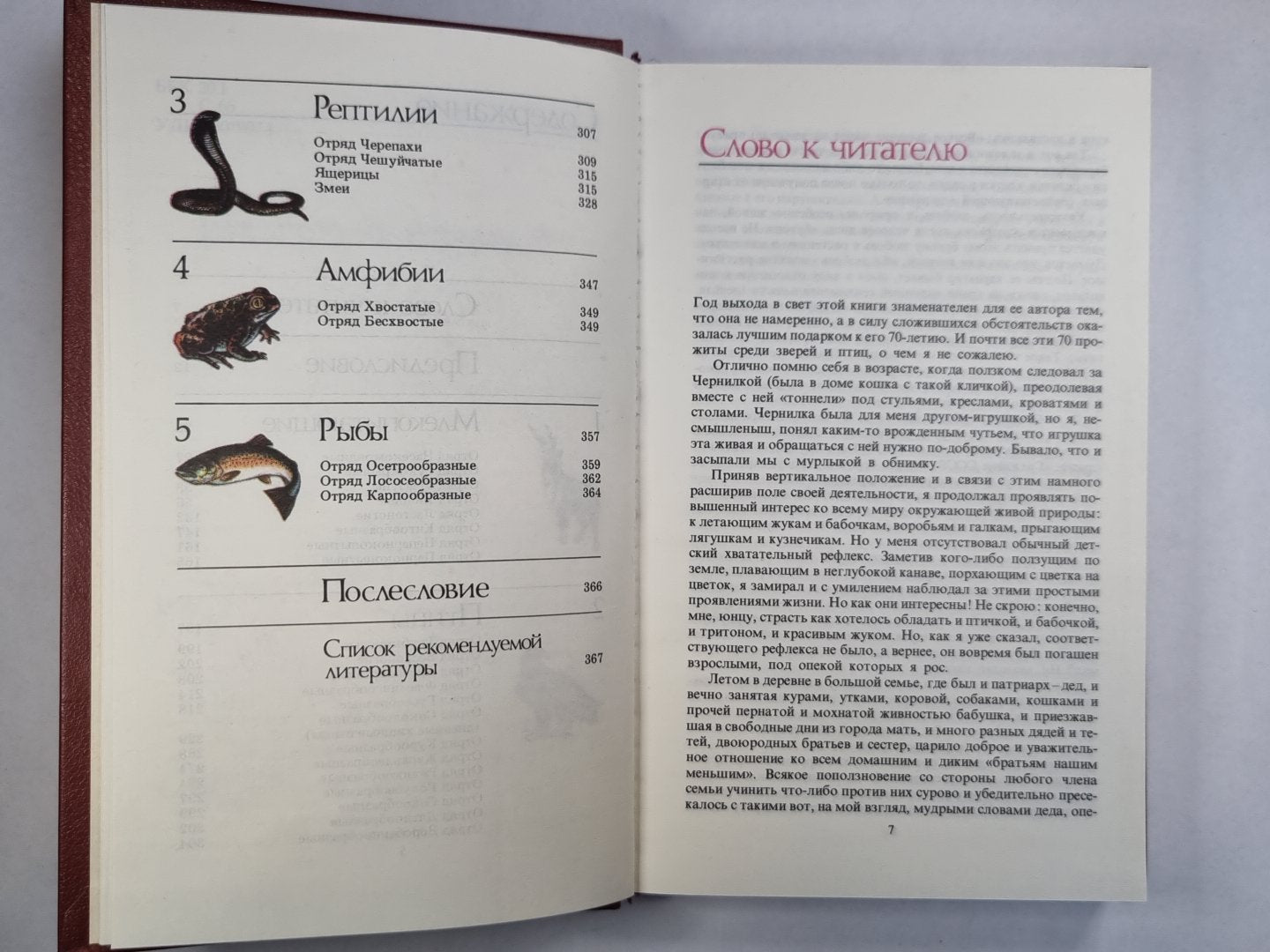 Редкие и исчезающие животные. На страницах Красной книги СССР