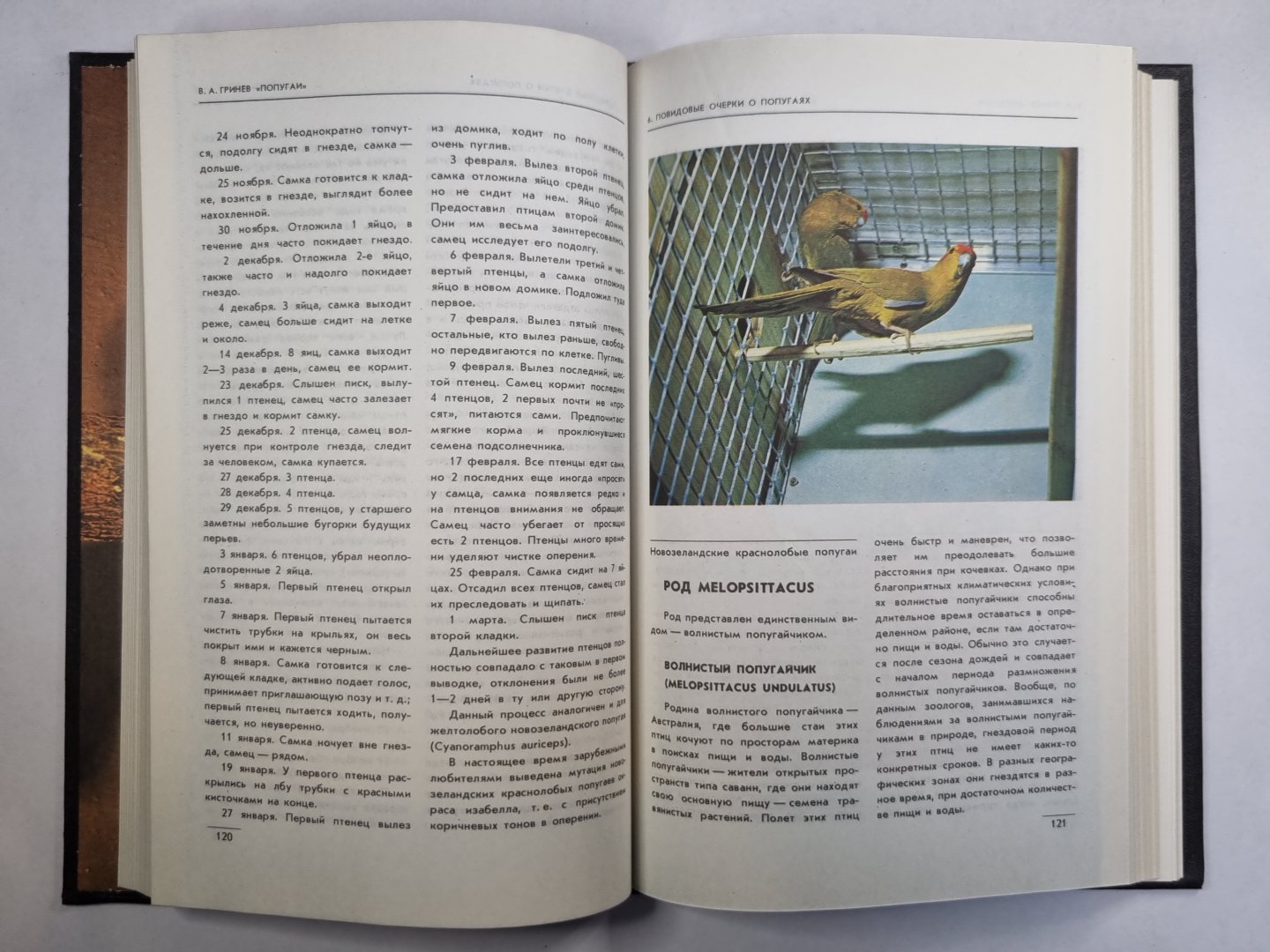 Попугаи. Справочное пособие