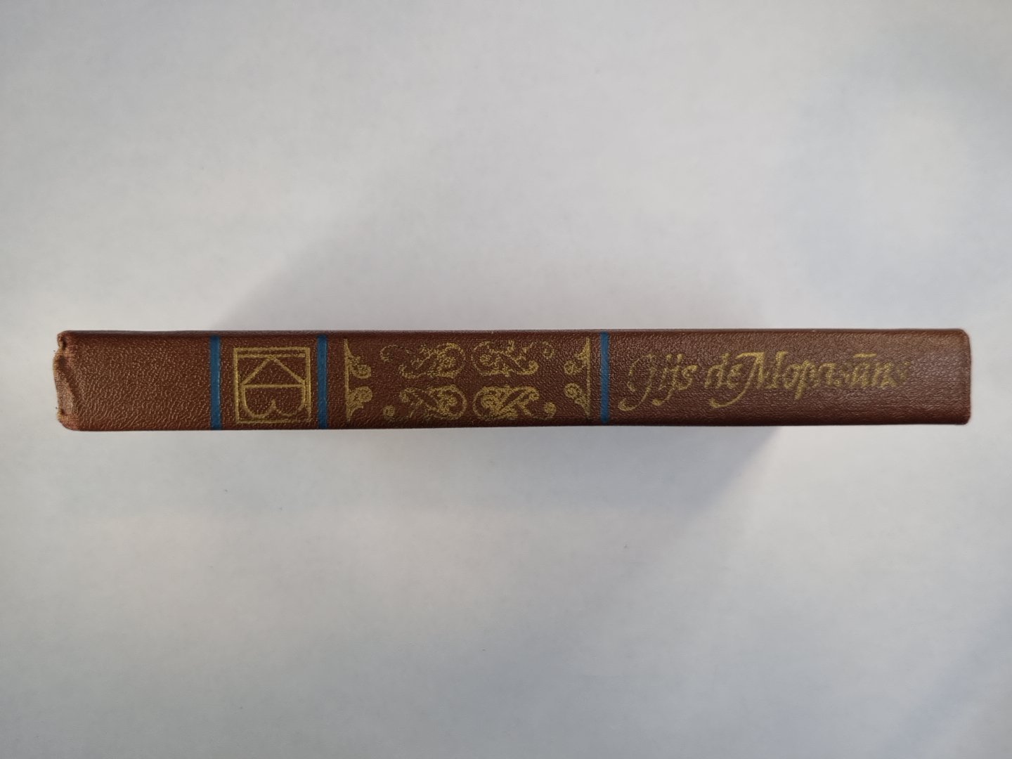 Kāda dzīve. Montoriola