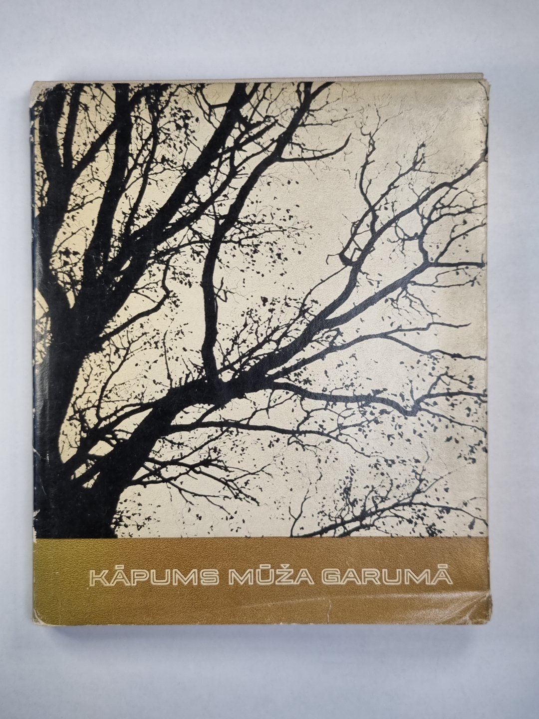 Капумс мужа гарума. Атминьяс пар А.Амтмани-Бриедити