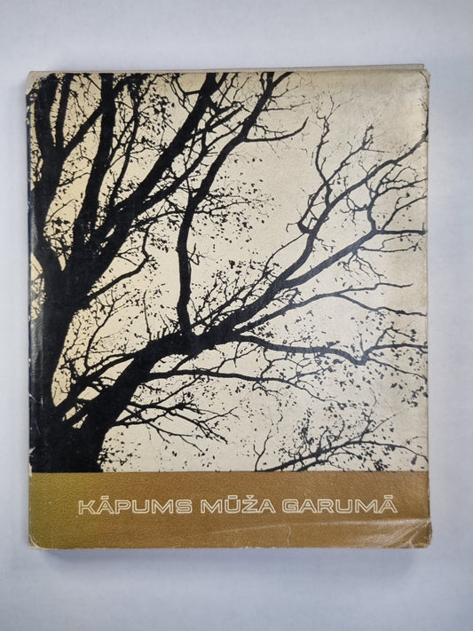 Капумс мужа гарума. Атминьяс пар А.Амтмани-Бриедити