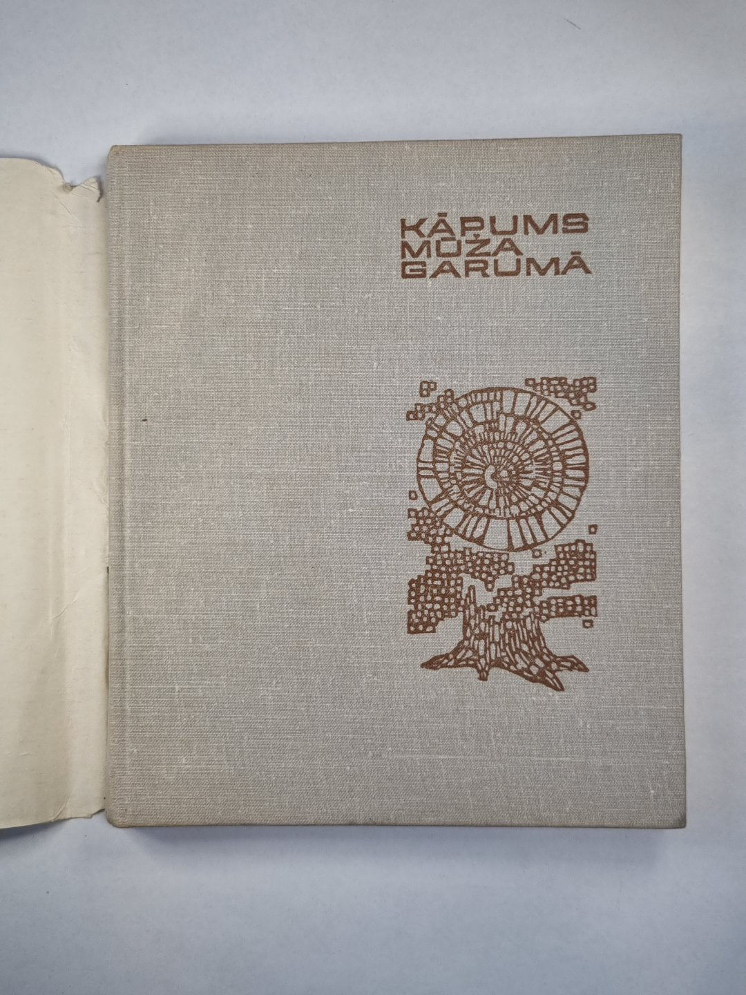 Капумс мужа гарума. Атминьяс пар А.Амтмани-Бриедити